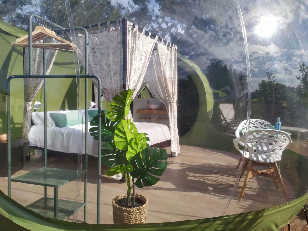 Remanso De Trasfontao Casa Das Arbores & Bubble Сильеда Экстерьер фото
