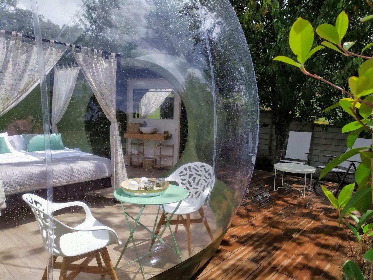 Remanso De Trasfontao Casa Das Arbores & Bubble Сильеда Экстерьер фото